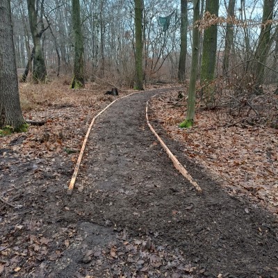 Obnovená pěšina v lese