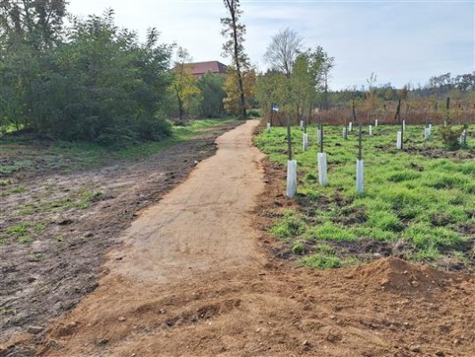 V příměstském lese začaly práce na rekonstrukci pěšin