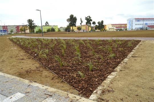 V Parku U Červených domků začala výsadba zeleně