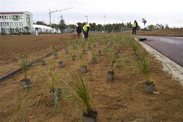 V Parku U Červených domků začala výsadba zeleně