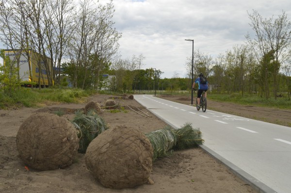 Stezku na Velkomoravské ulici oživí nová výsadba