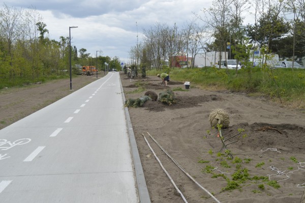 Stezku na Velkomoravské ulici oživí nová výsadba