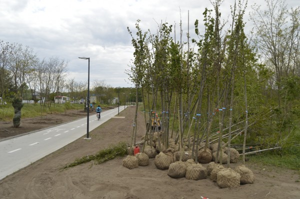 Stezku na Velkomoravské ulici oživí nová výsadba