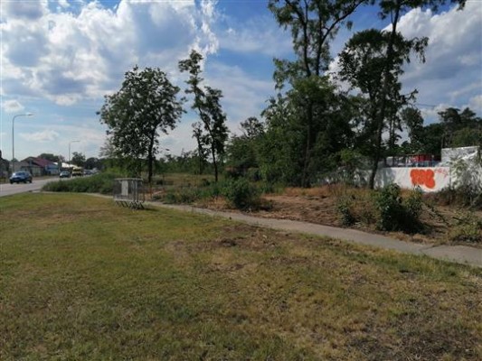 Součástí plánované stezky bude i zeleň. Město žádá o dotaci na její obnovu