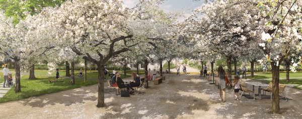 Obnova Mírového náměstí