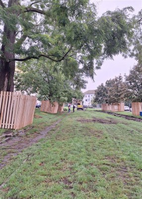 Začala proměna parku Sadová