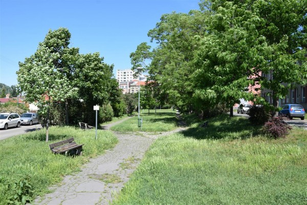 Příprava revitalizace parku Sadová pokračuje
