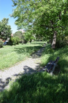 Příprava revitalizace parku Sadová pokračuje