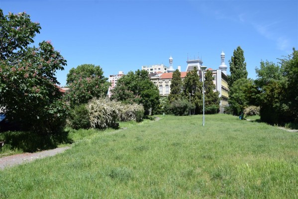 Příprava revitalizace parku Sadová pokračuje