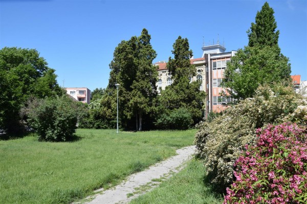 Příprava revitalizace parku Sadová pokračuje