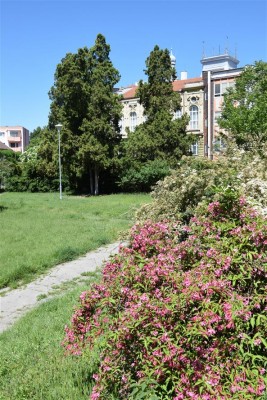 Příprava revitalizace parku Sadová pokračuje