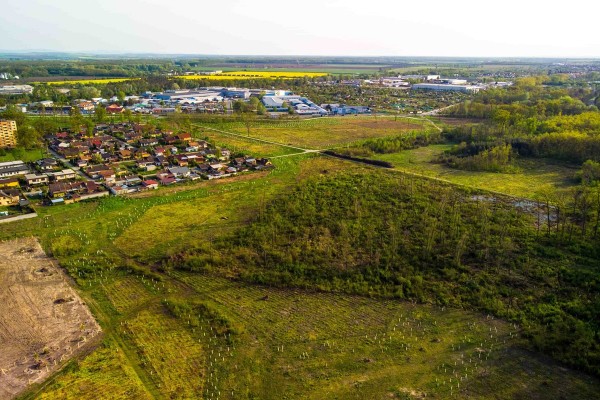 Adaptační strategie