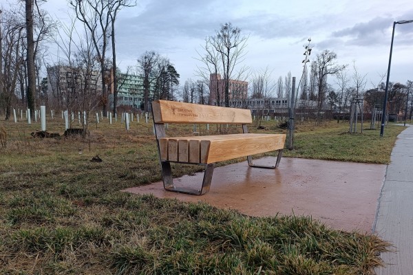 Tornádové dřevo se vrací do původní lokality v nové podobě