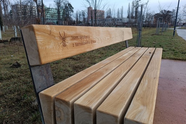 Tornádové dřevo se vrací do původní lokality v nové podobě