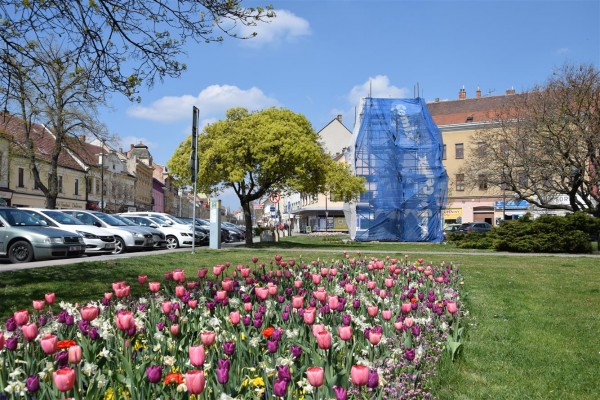 Začíná restaurování Mariánského sloupu