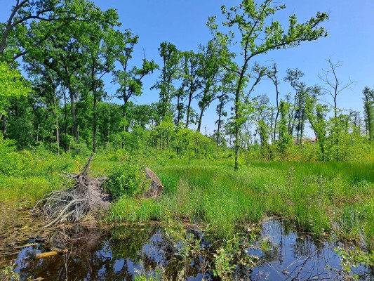 Týmy architektů tornádových projektů se sešly v Hodoníně