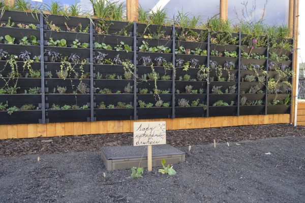 Líbí se vám přírodovědná učebna ARCHIMÉDES? Dejte jí hlas v soutěži E.ON Energy Globe!