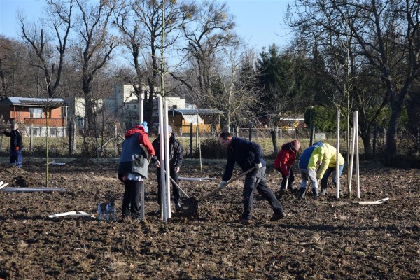 Ve Štěpnici vzniká sad starých odrůd ovocných stromů