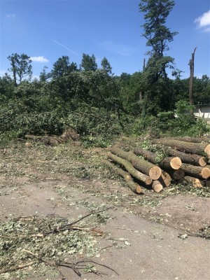 Kalamitní dřevo se v podobě mobiliáře vrátí zpět