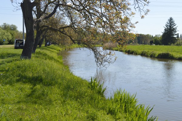 Vrcholí přípravy k vyhlášení architektonicko-krajinářské soutěže Obnova břehů Staré Moravy