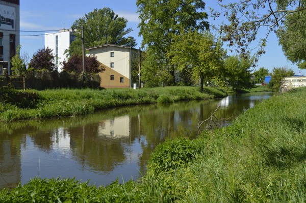 Vrcholí přípravy k vyhlášení architektonicko-krajinářské soutěže Obnova břehů Staré Moravy