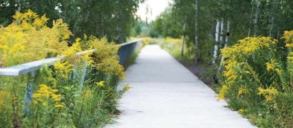 Stezka pro chodce a cyklisty ul. Velkomoravská - 2. etapa (po straně lesa)
