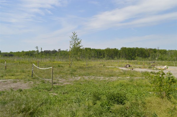 Obnovu dětského městečka podpoří i Nadace Via