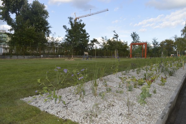 Soutěž mladých zahradníků proměnila část lokality U Červených domků