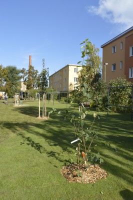 Soutěž mladých zahradníků proměnila část lokality U Červených domků