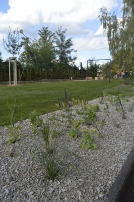 Soutěž mladých zahradníků proměnila část lokality U Červených domků