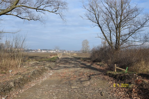 Polní cesta Očovské louky