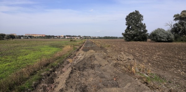 Polní cesta Očovské louky