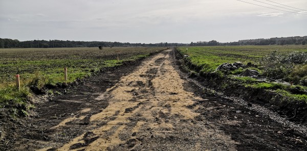 Polní cesta Očovské louky