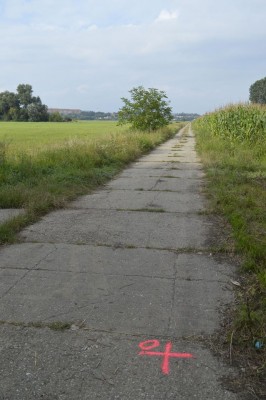 Polní cesta Očovské louky