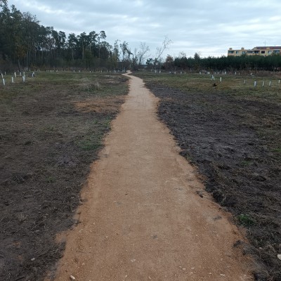 Obnovená pěšina, v minulosti zničena tornádem