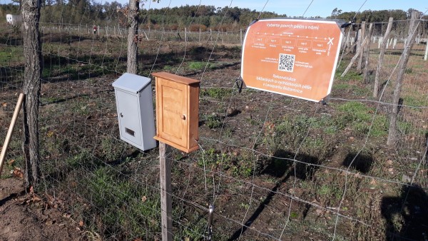 Staňte se součástí rozhodování o nových pěšinách v lesoparku