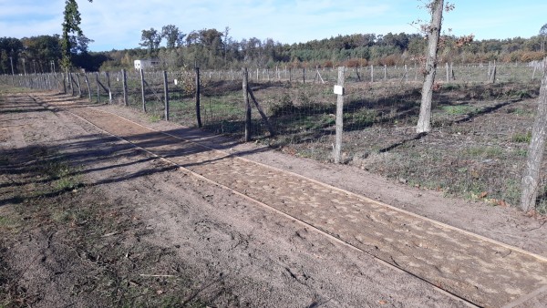 Staňte se součástí rozhodování o nových pěšinách v lesoparku