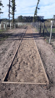 Staňte se součástí rozhodování o nových pěšinách v lesoparku