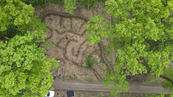 V příměstském lesoparku zaujmou nová broukoviště