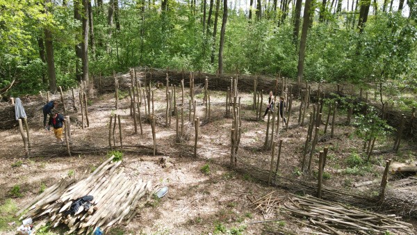 V příměstském lesoparku zaujmou nová broukoviště