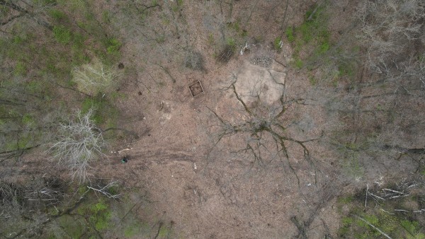 V příměstském lesoparku zaujmou nová broukoviště