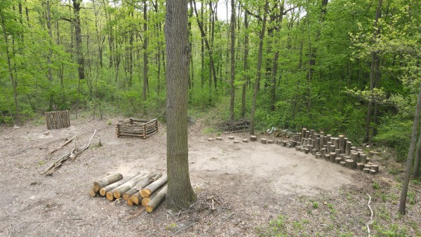 V příměstském lesoparku zaujmou nová broukoviště