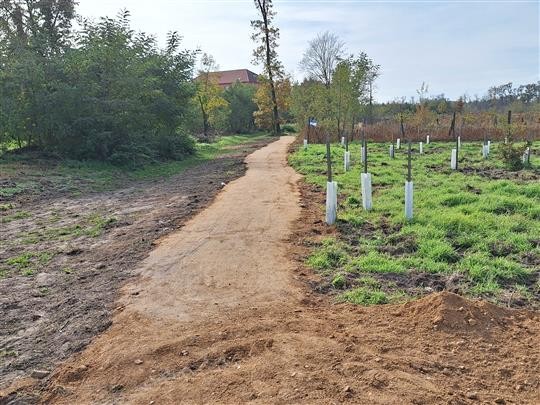V příměstském lese začaly práce na rekonstrukci pěšin