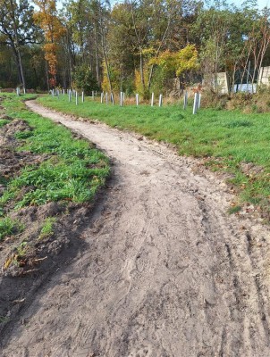 V příměstském lese začaly práce na rekonstrukci pěšin