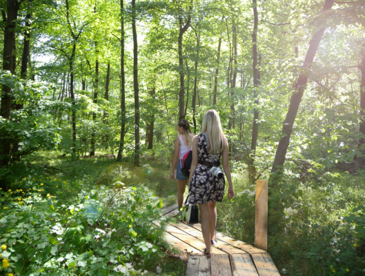 Příměstský les Hodonín – Bažantnice