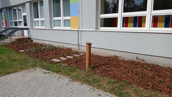 Vegetační úpravy - trvalky, bylinky, traviny