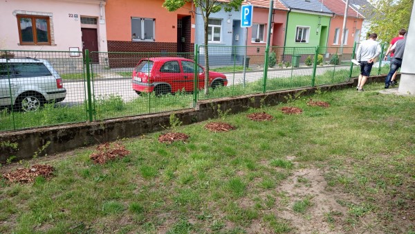 Vegetační úpravy - výzkumná loučka, keře