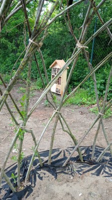 Hmyzí domek a vrbová stavba