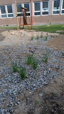 Informační tabule, zeleň