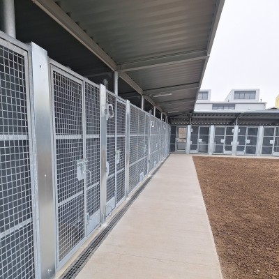 Stavební práce v útulku pro psy jsou u konce